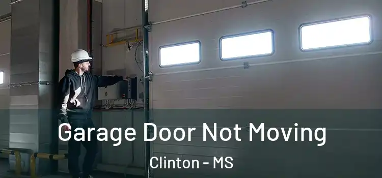  Garage Door Not Moving Clinton - MS