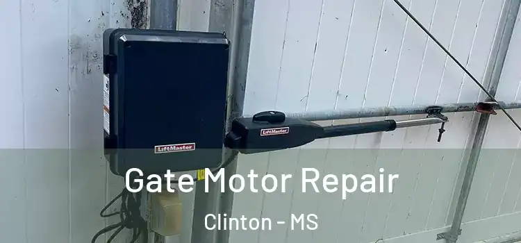 Gate Motor Repair Clinton - MS