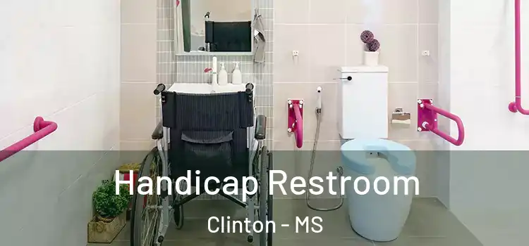  Handicap Restroom Clinton - MS