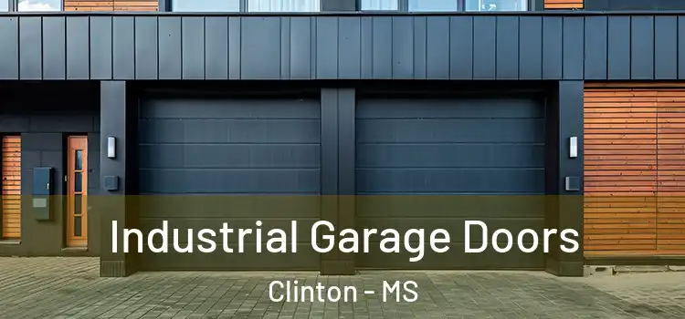  Industrial Garage Doors Clinton - MS