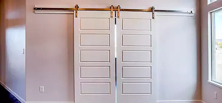 Glass Barn Door with Installation Hardware Kit Clinton