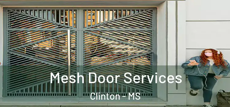 Mesh Door Services Clinton - MS