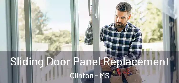 Sliding Door Panel Replacement Clinton - MS