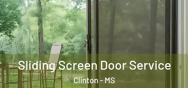 Sliding Screen Door Service Clinton - MS
